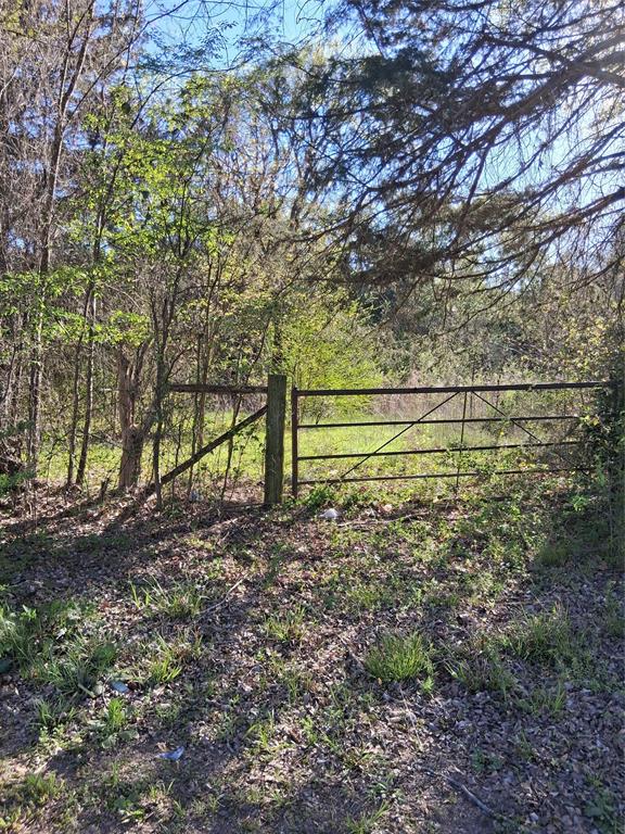 4122 County Road 4122 Road Lindale, TX 75771 - Photo 2 of 6 Gate entrance