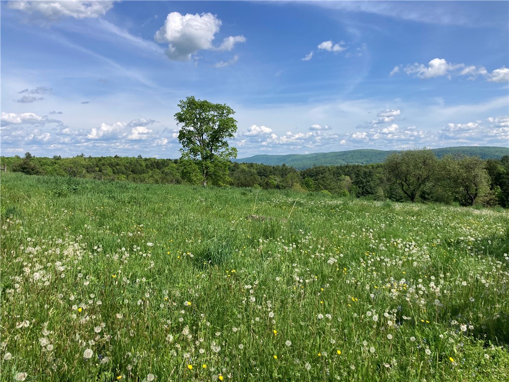 174 Fred Braun Road Unadilla, NY 13849 - Photo 28 of 50 Gallery Image 28