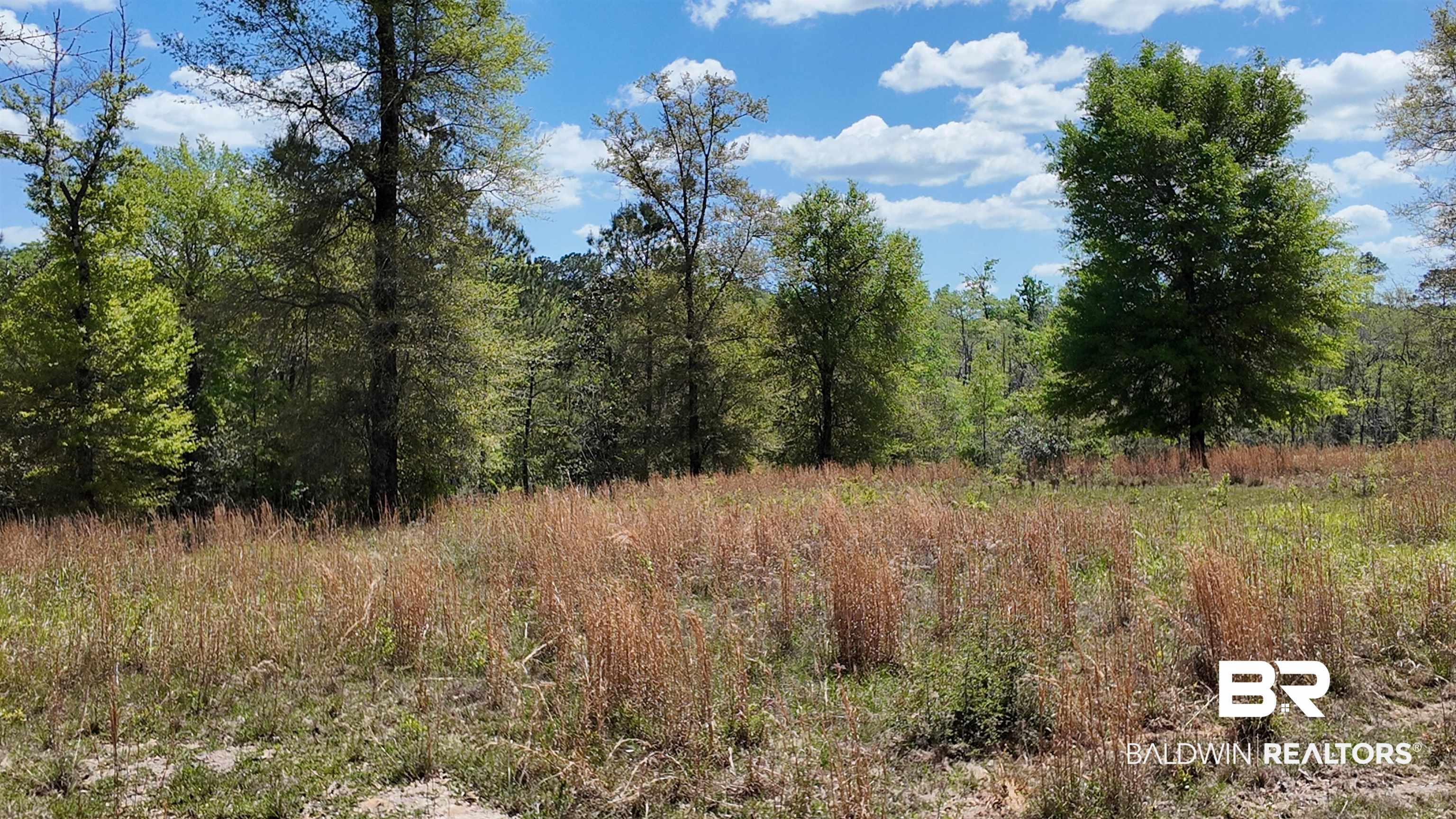 0 Powell Road Eight Mile, AL 36613 - Photo 29 of 57