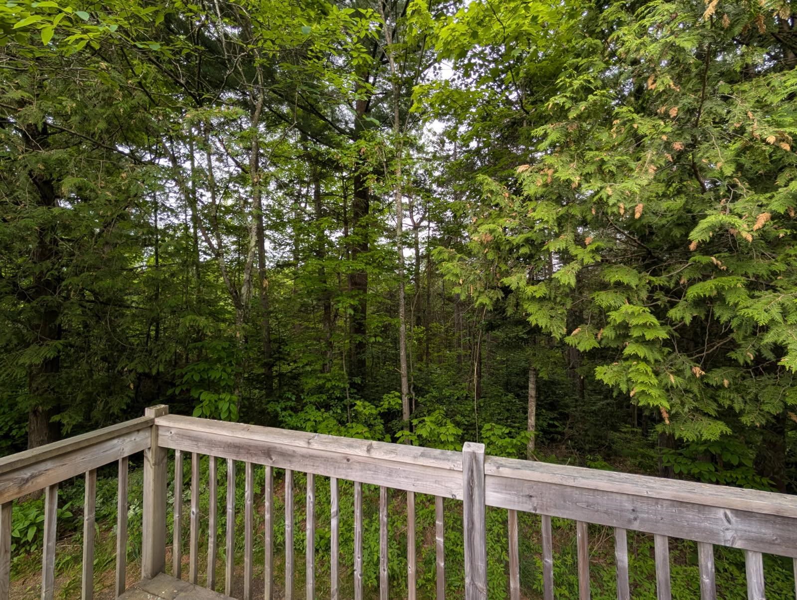 376 Vt Rte 242 Jay, VT 05859 - Photo 21 of 40