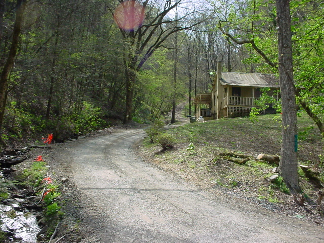 731 Carrs Creek Road Townsend, TN 37882 - Photo 1 of 20 DSC03552