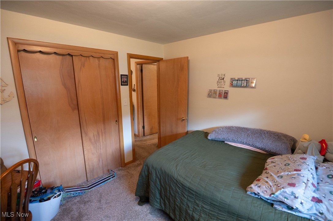 1074 South Meridian Road Youngstown, OH 44515 - Photo 22 of 42 Bedroom featuring carpet floors and a closet