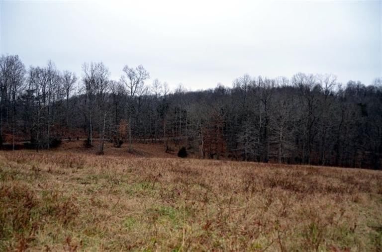 1709 Macedonia Road Irvine, KY 40336 - Photo 8 of 87 County maintained blacktop road all the