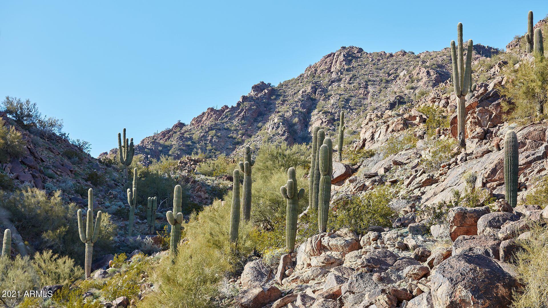 5000 East Camelback Road, Unit 406 Phoenix, AZ 85018 - Photo 18 of 23 ASC_Phoenician_Camelback_Mountain_Desert