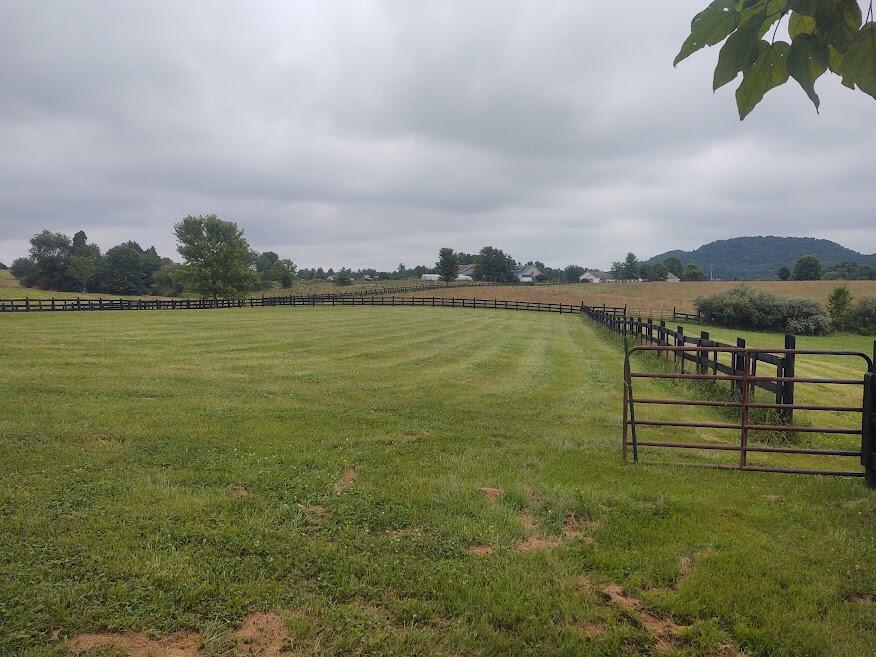 620 Caudill Cemetery Road Morehead, KY 40351 - Photo 6 of 61 Smothers Exterior 2