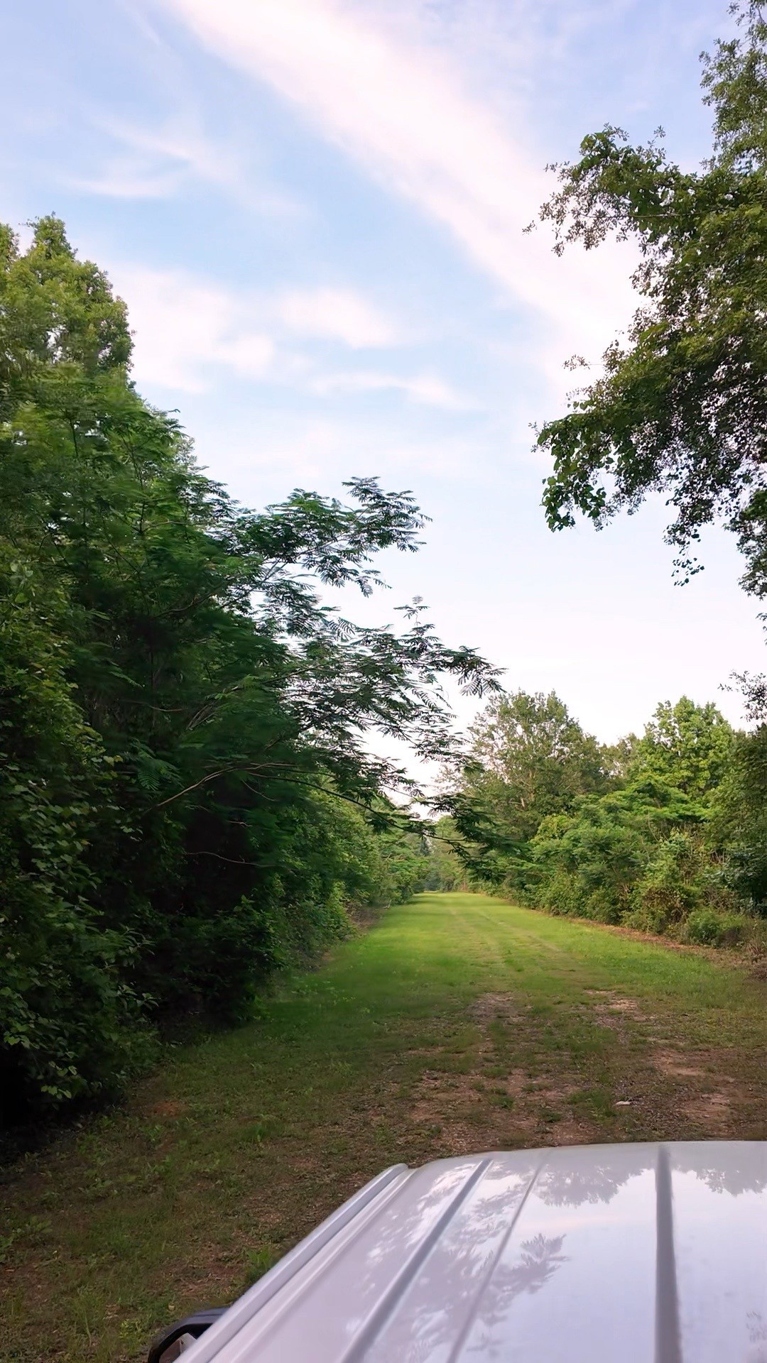 0 County Line Road Shepherd, TX 77371 - Photo 2 of 50