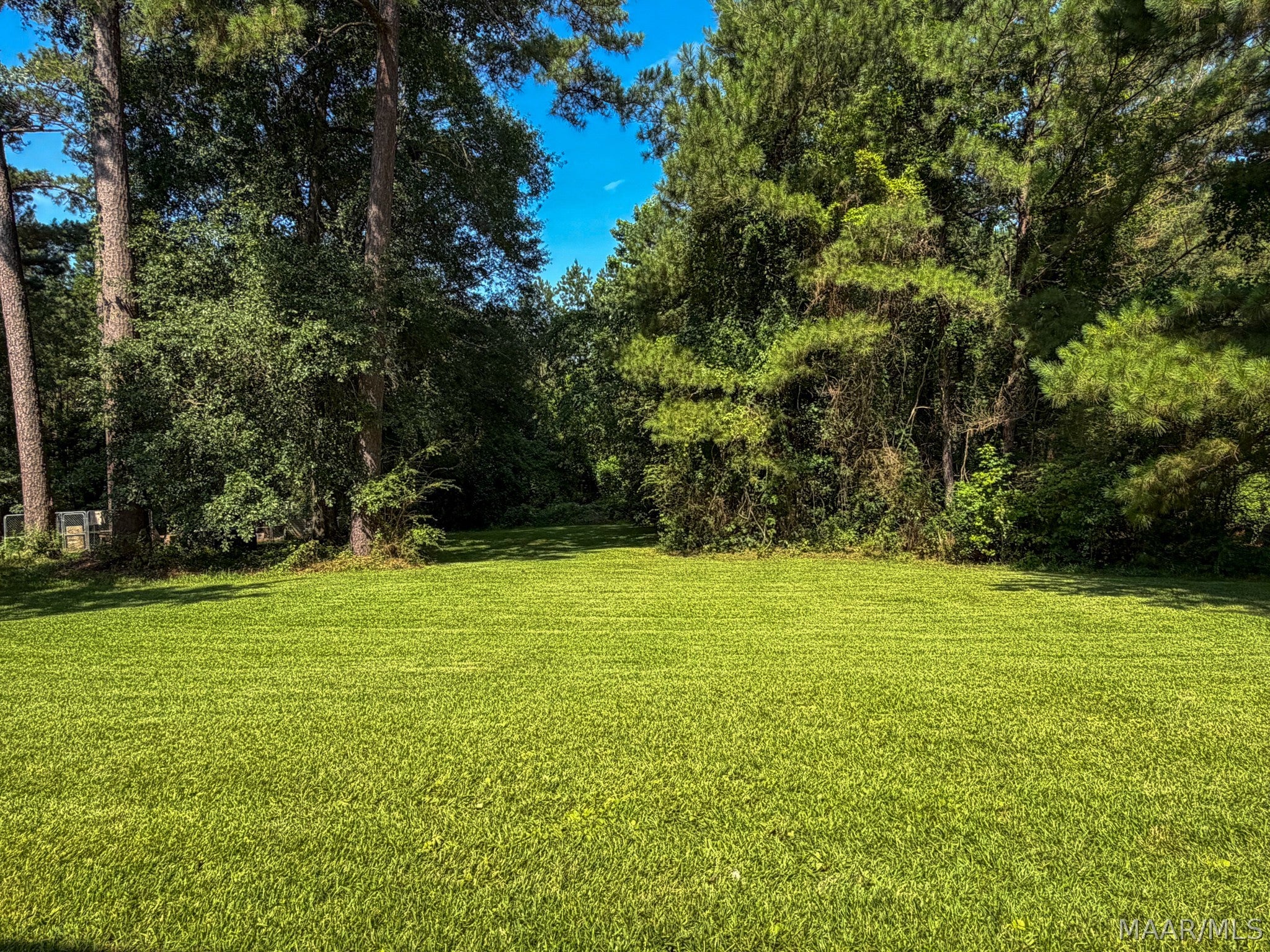 738 Avant Road Georgiana, AL 36033 - Photo 20 of 24 Gallery Image 20