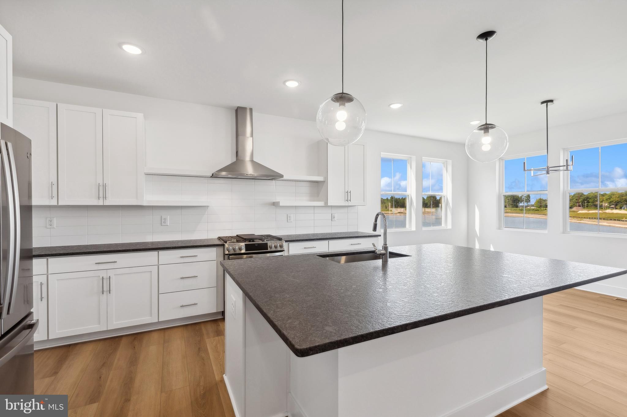 36453 Maple Ridge Lane Georgetown, DE 19947 - Photo 5 of 29