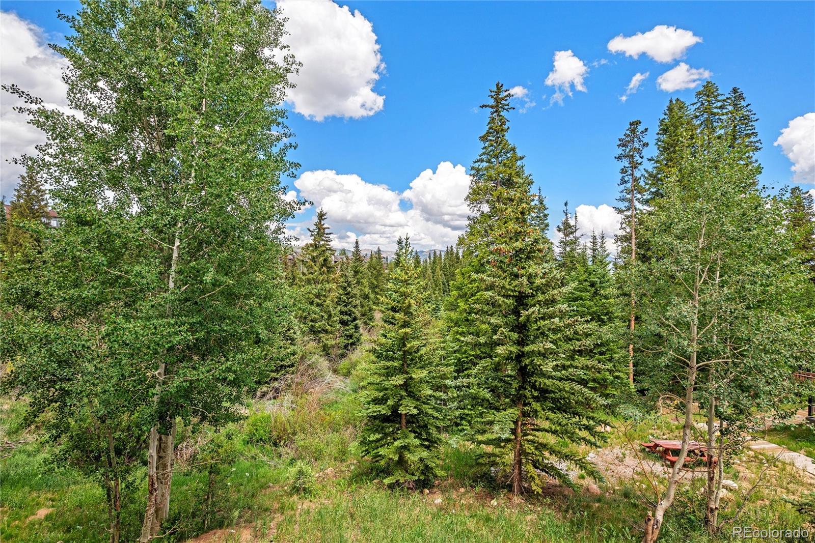 10000 Ryan Gulch Road, Unit 101 Silverthorne, CO 80498 - Photo 14 of 19