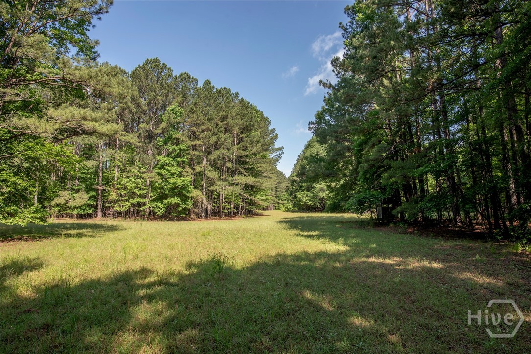 272-0 Doster Road Madison, GA 30650 - Photo 45 of 57
