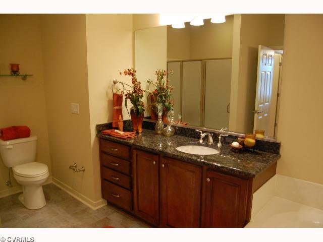 12106 Blossom Point Road, Unit 23B Chester, VA 23831 - Photo 11 of 12 Master Bath