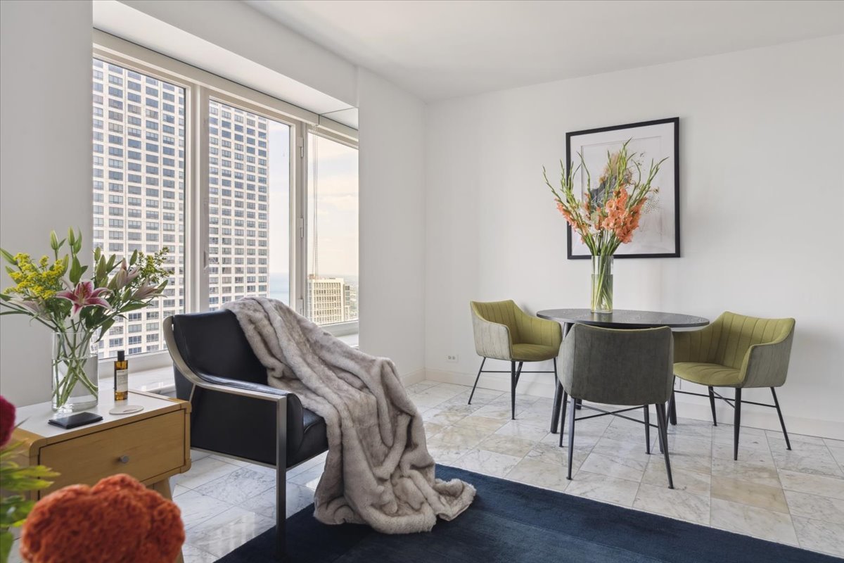 161 East Chicago Avenue, Unit 43G Chicago, IL 60611 - Photo 3 of 13