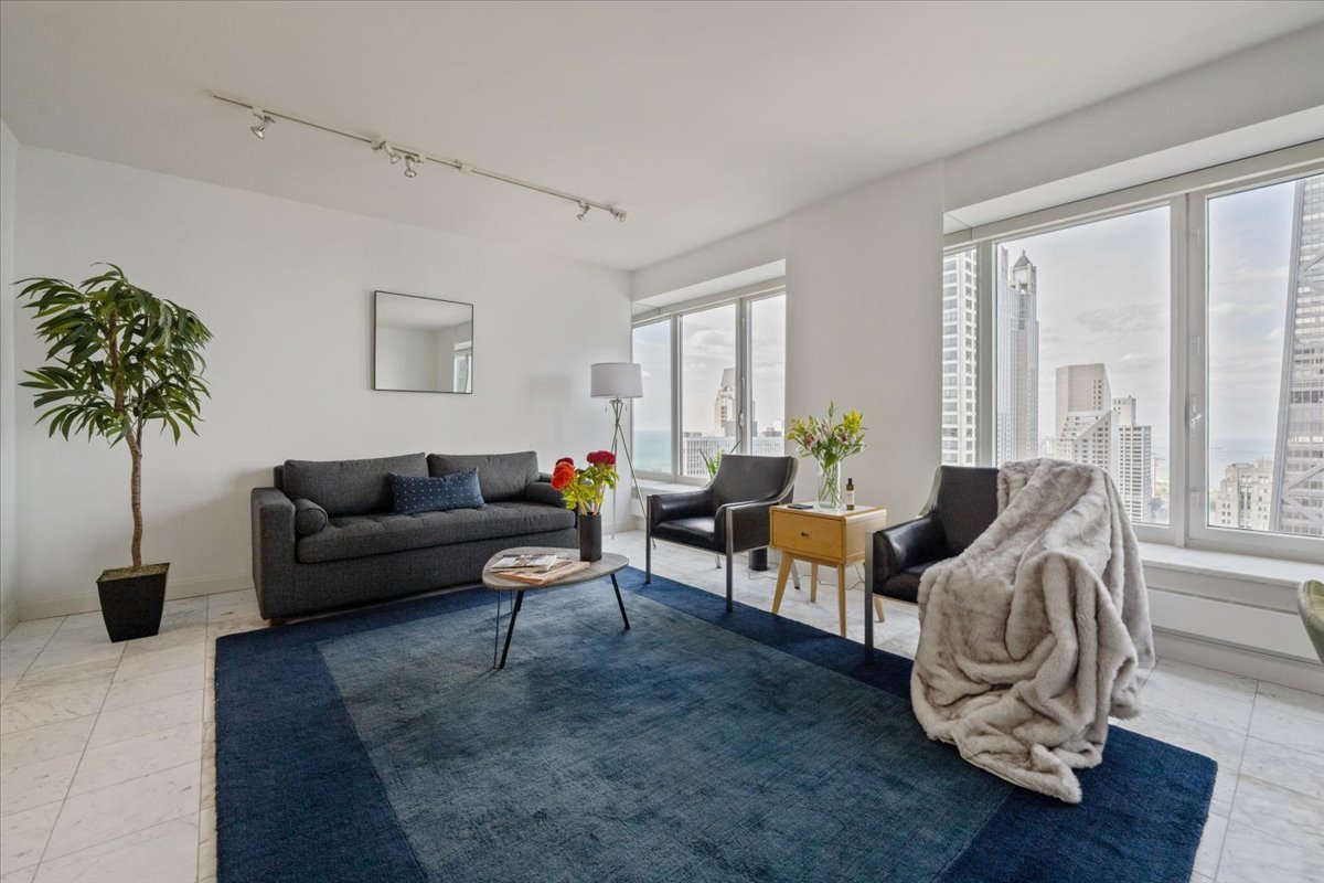 161 East Chicago Avenue, Unit 43G Chicago, IL 60611 - Photo 4 of 13