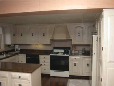 19389 Thompson Lane Three Rivers, MI 49093 - Photo 4 of 14 Additional Photo