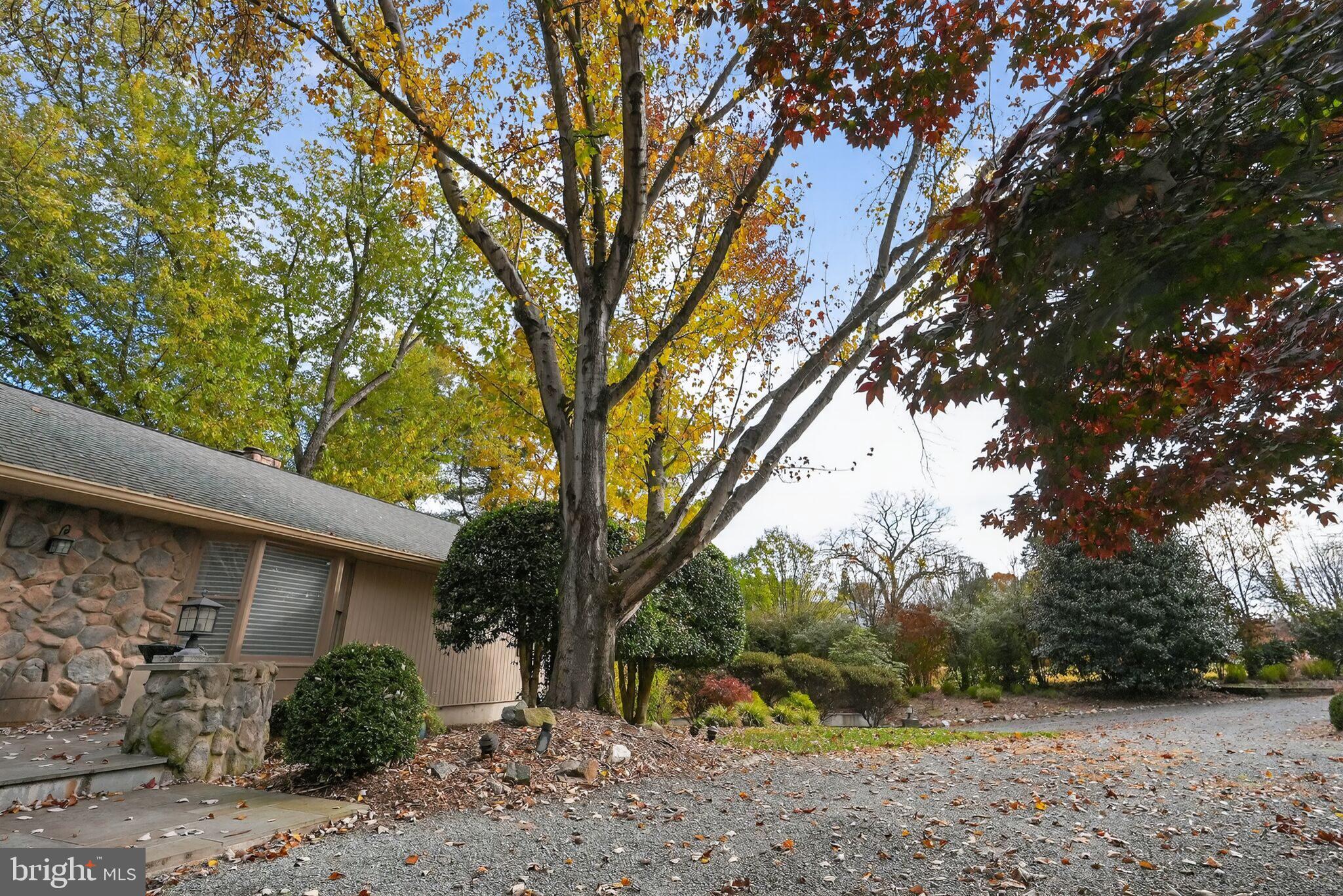 13821 Esworthy Road Darnestown, MD 20874 - Photo 62 of 98 a view of a backyard