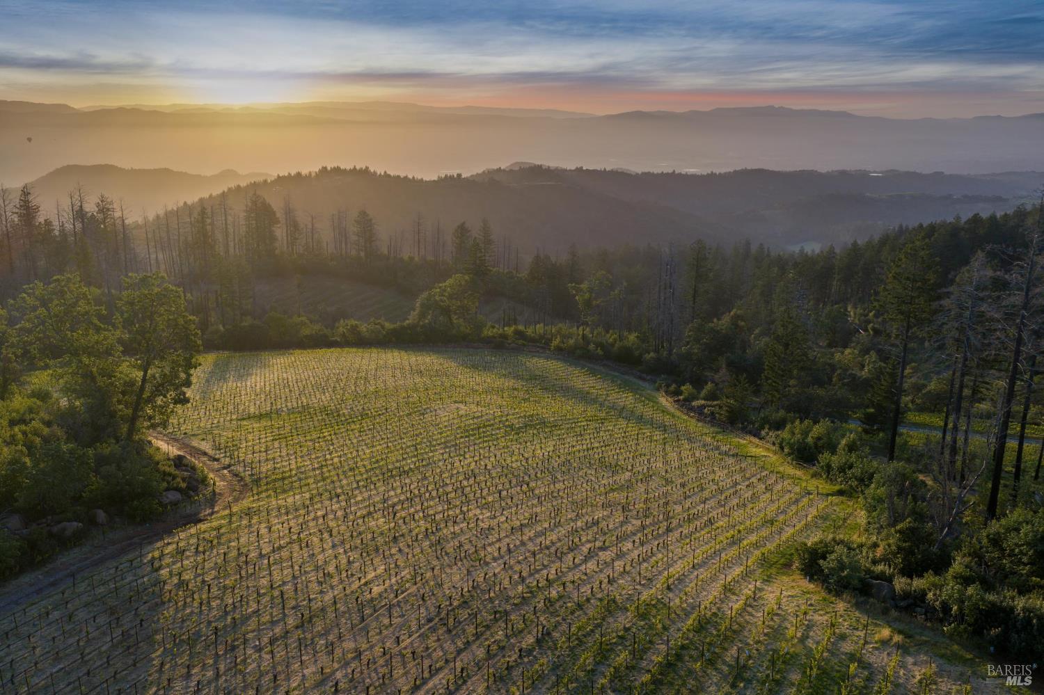 3801 Mt Veeder Road Napa, CA 94558 - Photo 7 of 22