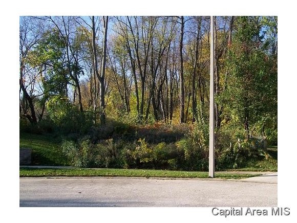 4108 Southwoods Road Springfield, IL 62711 - Photo 1 of 2