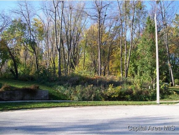 4108 Southwoods Road Springfield, IL 62711 - Photo 2 of 2