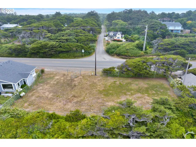 a view of a garden with a large tree