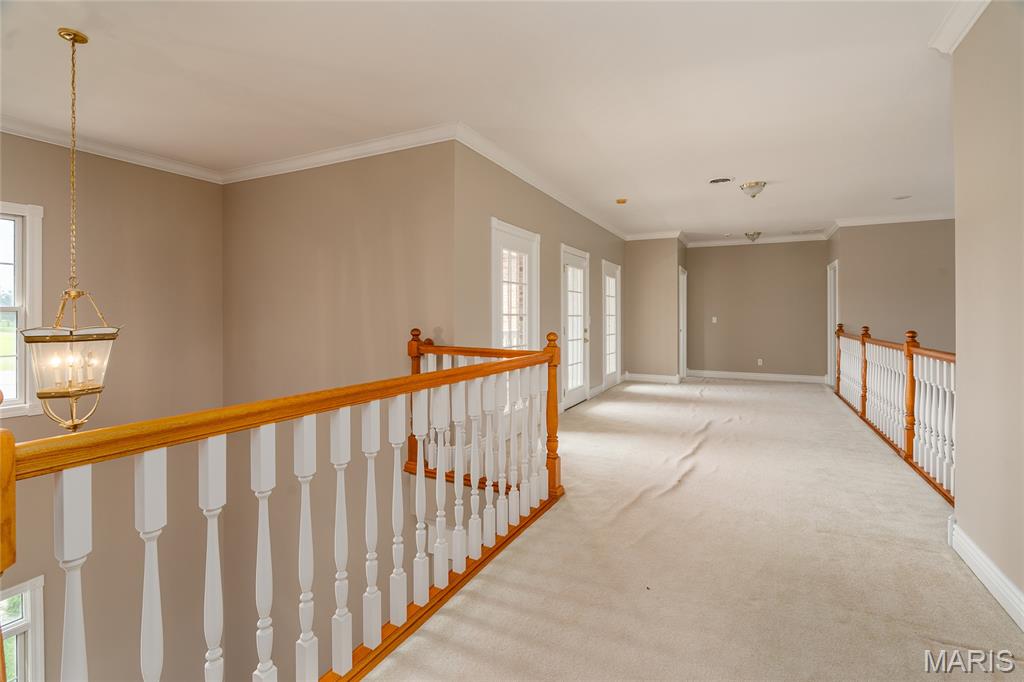 119 Club House Road Makanda, IL 62958 - Photo 39 of 62 Gallery Image 39
