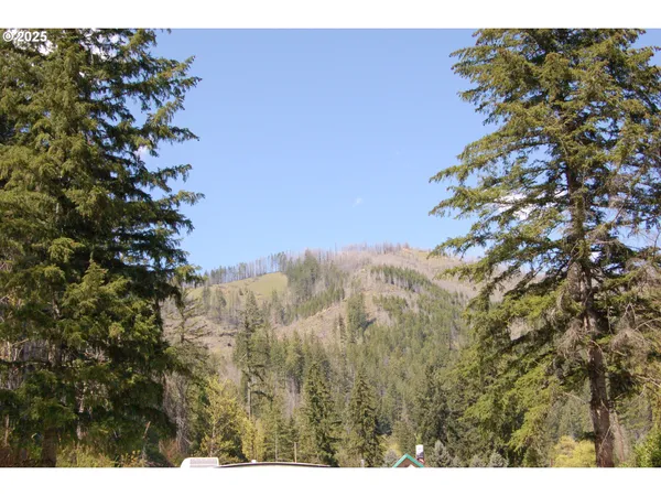 a view of outdoor space and yard