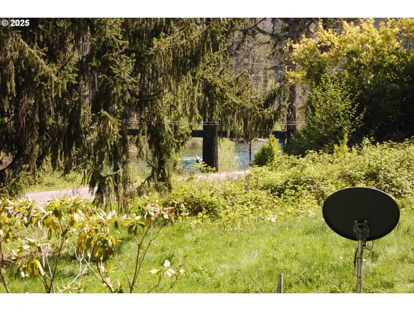 a picture of a small yard