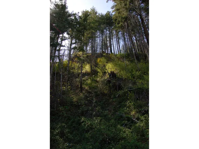 a view of a garden with a tree