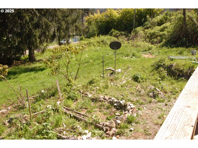 a view of a park with large trees