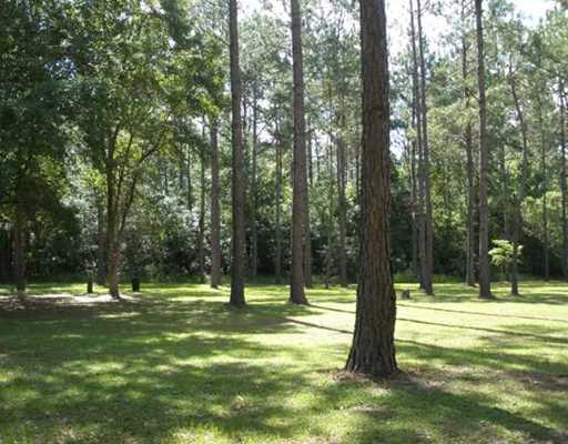 7808 Coleman Homestead Road Moss Point, MS 39562 - Photo 24 of 25 Additional Photo