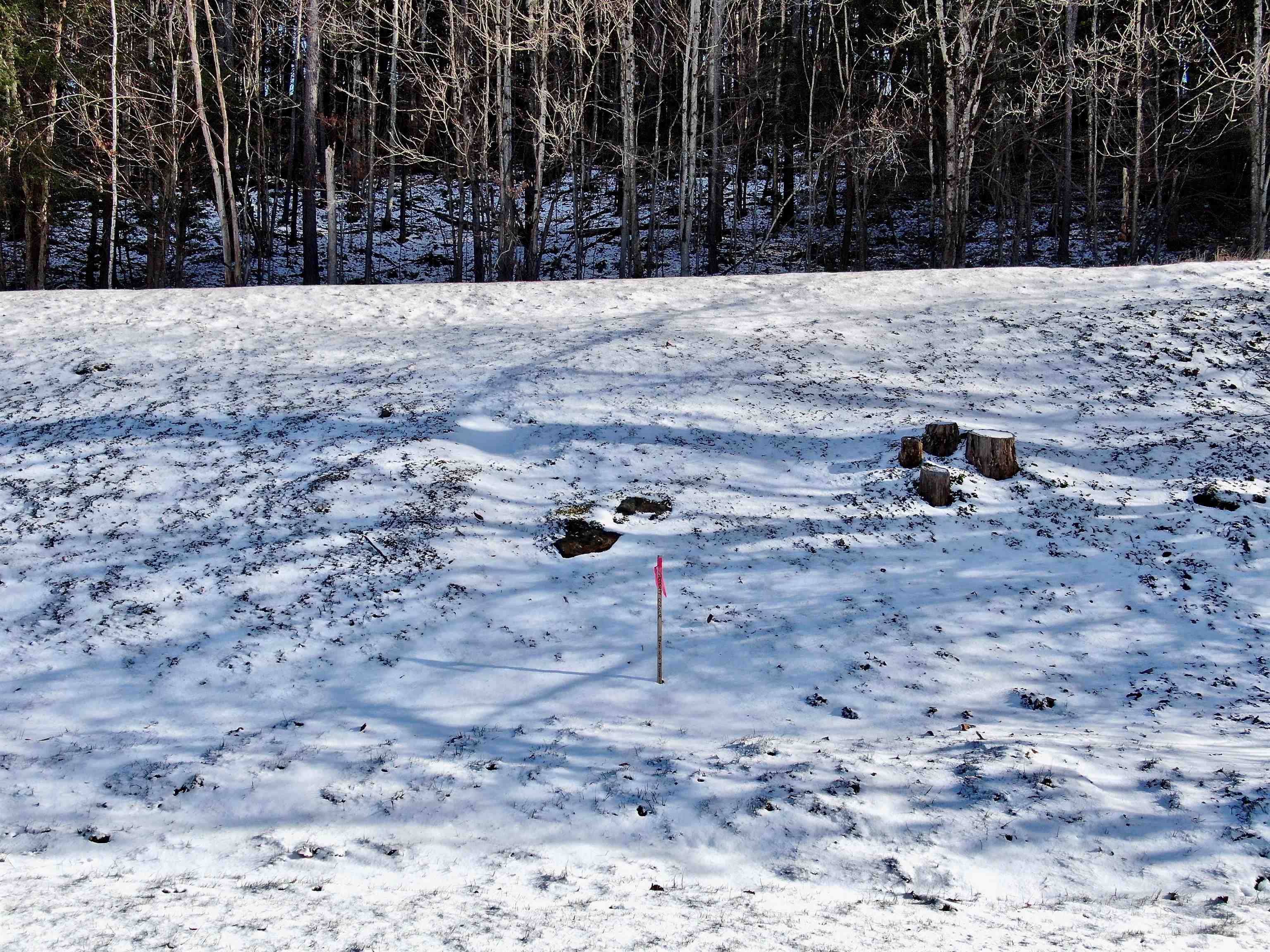 Lot Three Guptil Road, Unit LOT THREE Waterbury Center, VT 05677 - Photo 14 of 27