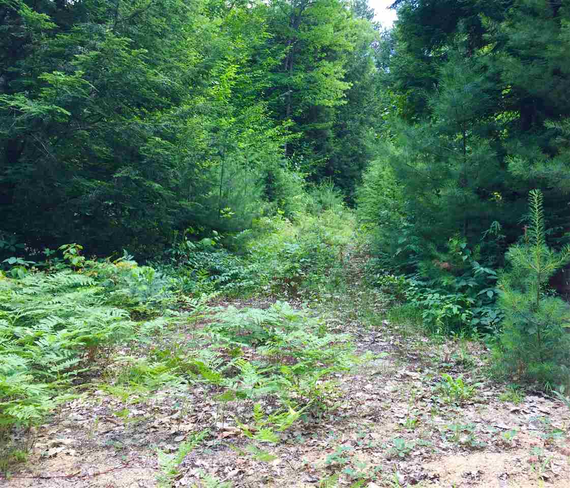 Lot 8 Gordon Hill Road New Hampton, NH 03256 - Photo 2 of 8