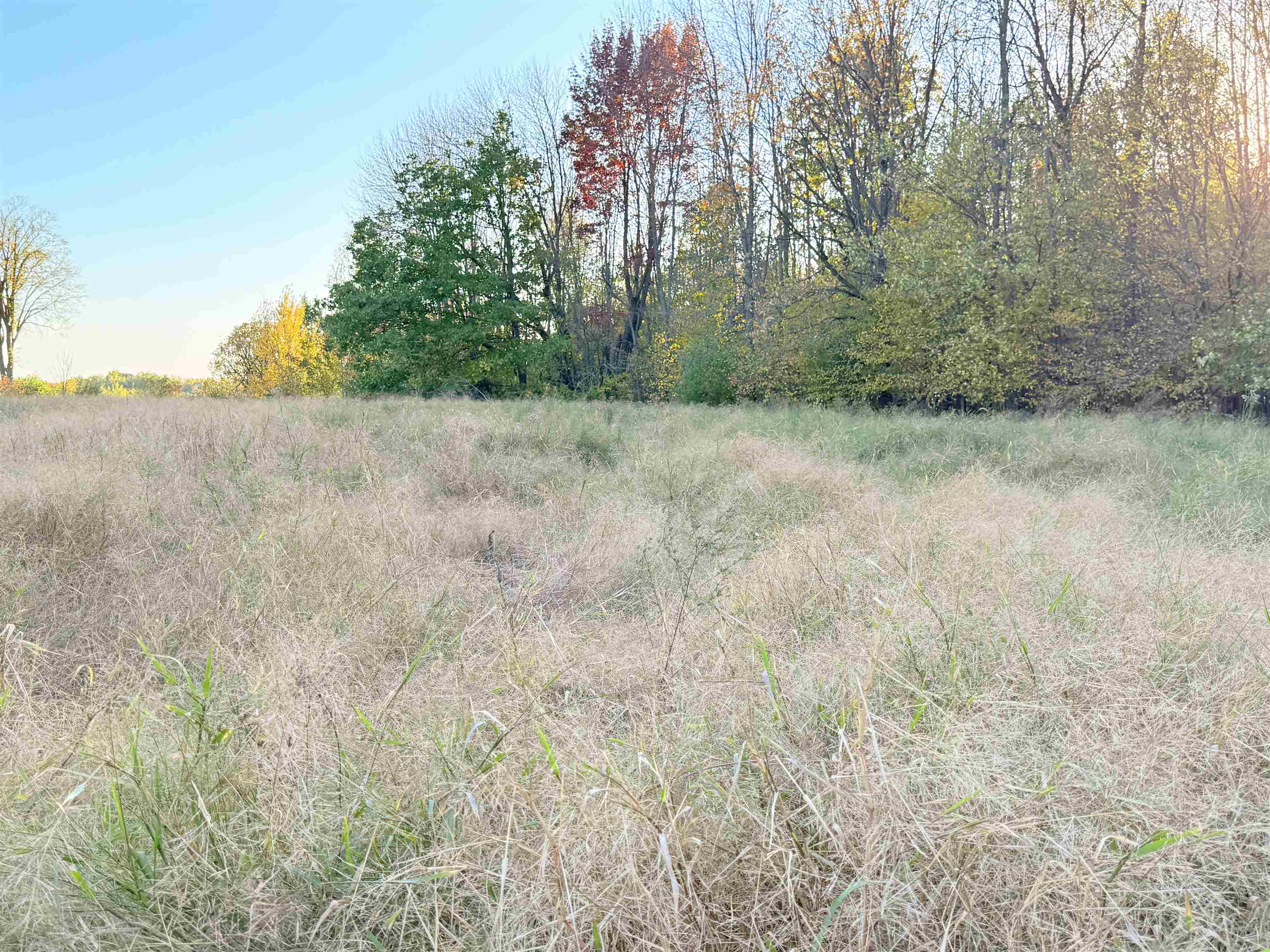 Lot 1 County Road Z Ringle, WI 54471 - Photo 4 of 17