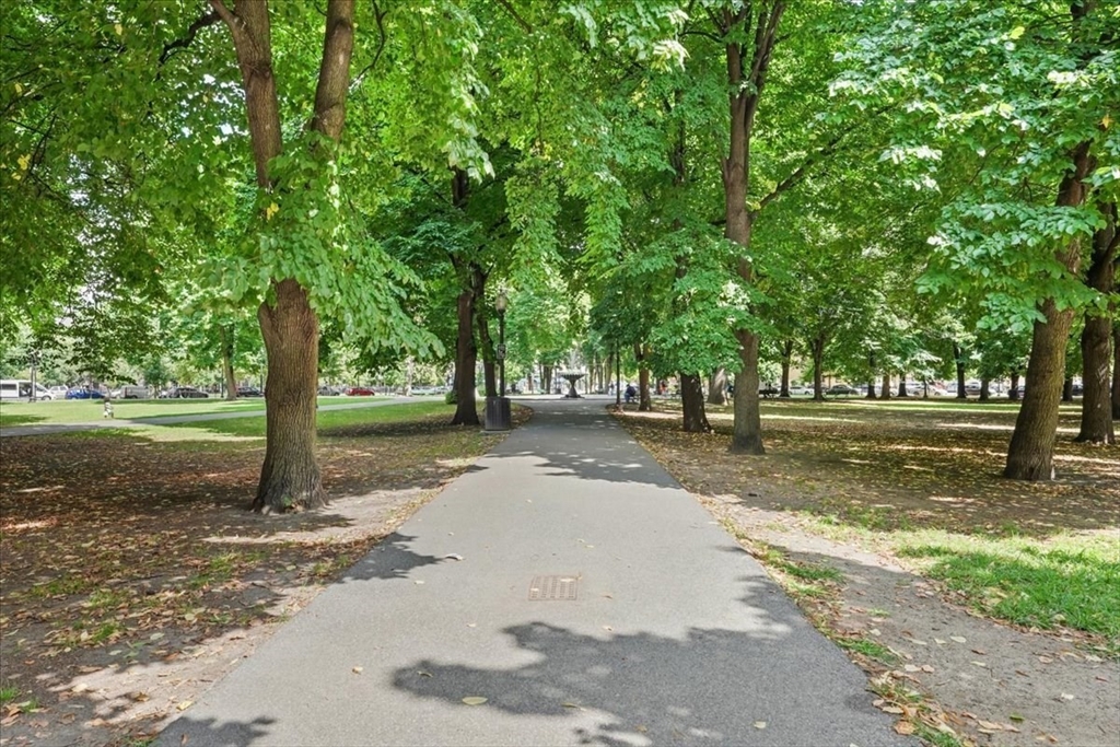 21 Father Francis Gilday Street, Unit 114 Boston, MA 02118 - Photo 27 of 28 a view of a tree in the middle of a yard