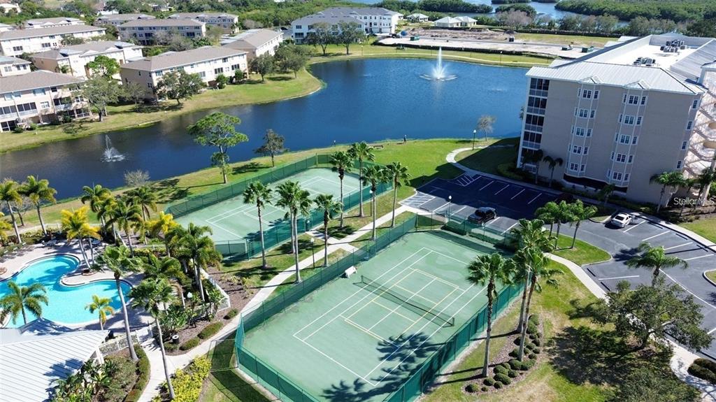 10002 Key Haven Road, Unit 204 Seminole, FL 33777 - Photo 12 of 73
