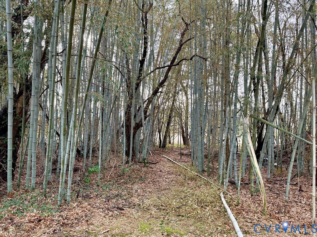224 Courthouse Road Heathsville, VA 22473 - Photo 34 of 37 a backyard of a house with lots of plants and large trees