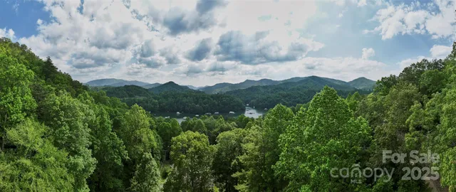 a view of a lot of trees and bushes
