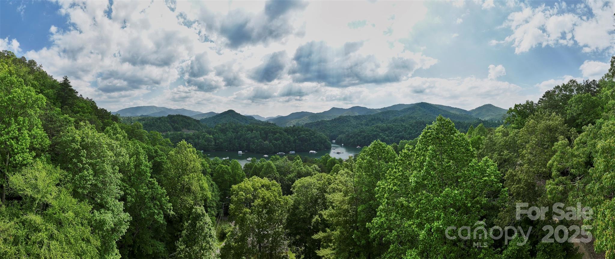 91 Keys Hill Road Almond, NC 28702 - Photo 11 of 19 a view of a lot of trees and bushes
