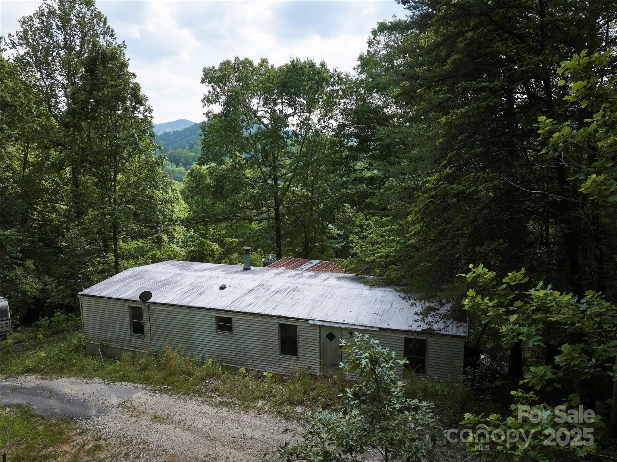 91 Keys Hill Road Almond, NC 28702 - Photo 5 of 19 a view of a house with a yard plants and large tree