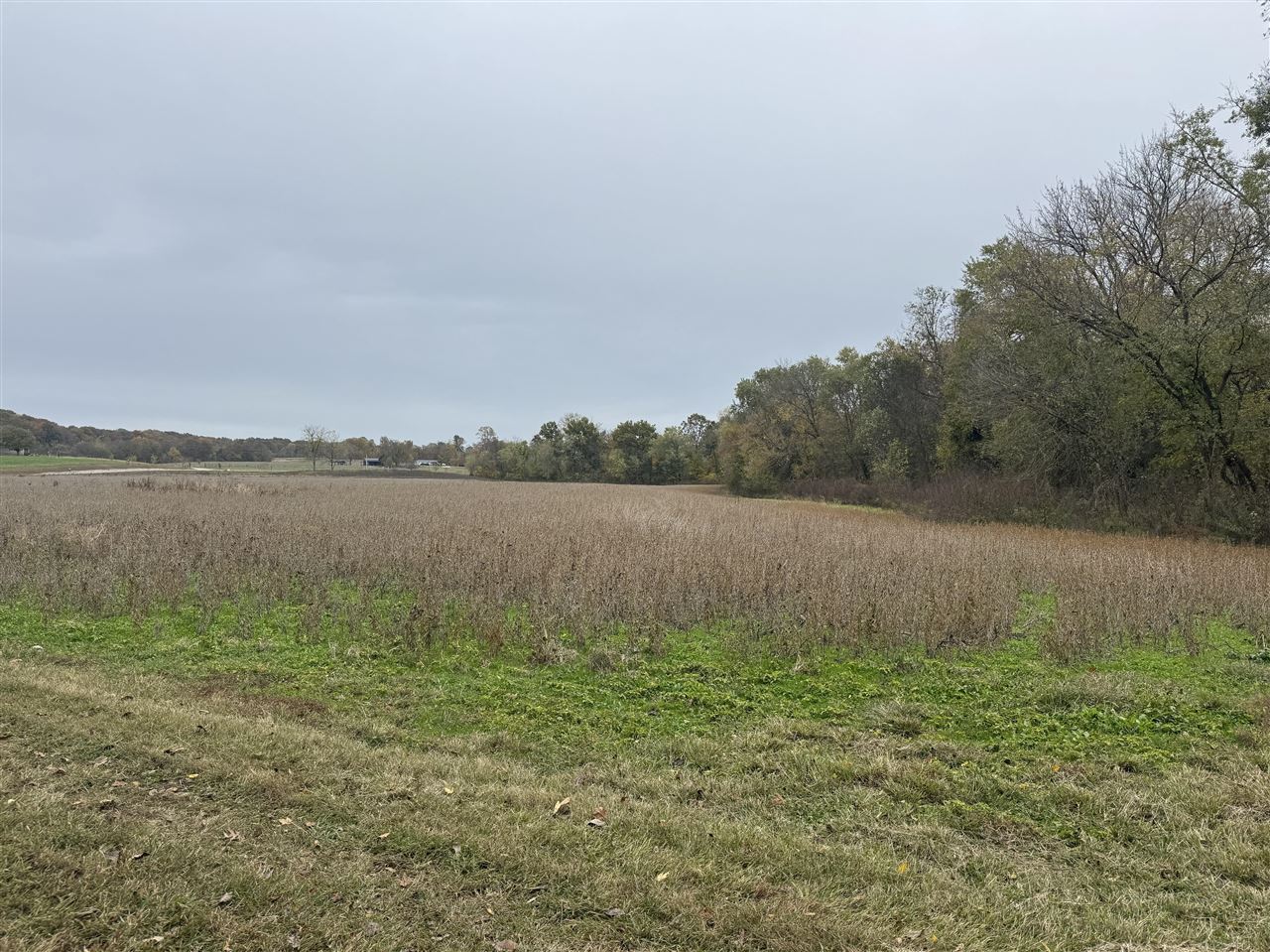 401 Duncan Road Alvaton, KY 42122 - Photo 17 of 18 Gallery Image 17
