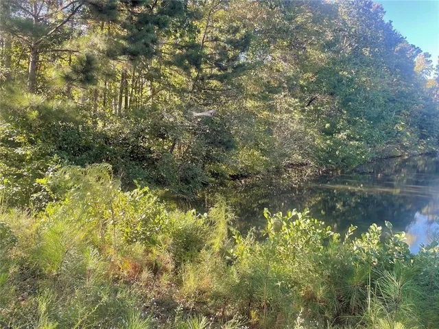 a view of a yard with plants and large trees