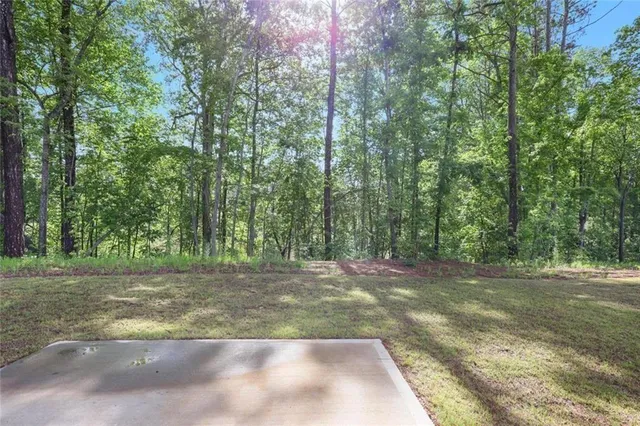 a view of a yard with trees