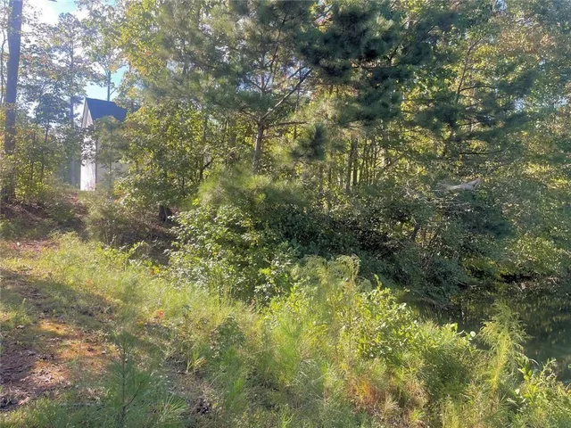 a view of a yard with large trees