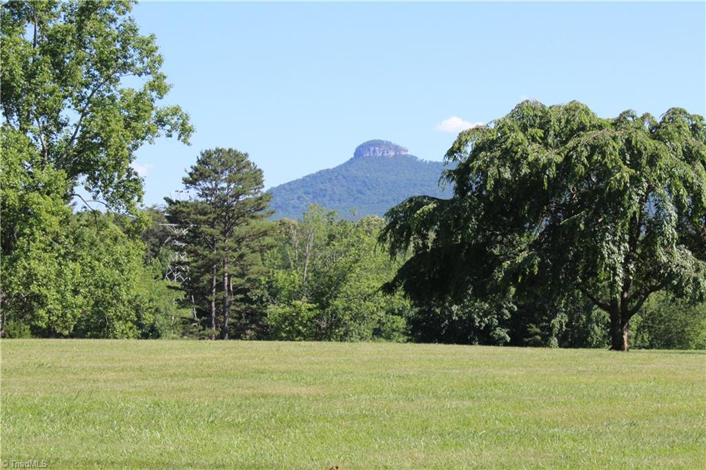 0 Mountain View Road, Unit TRACT E Pilot Mountain, NC 27041 - Photo 2 of 4 Gallery Image 2
