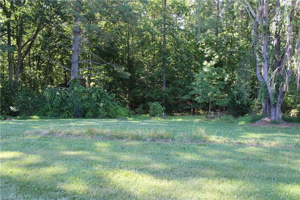 0 Mountain View Road, Unit TRACT E Pilot Mountain, NC 27041 - Photo 3 of 4 Gallery Image 3