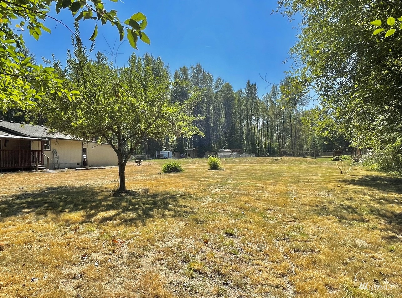 144 Morgan Road Toutle, WA 98649 - Photo 29 of 40 a view of a yard with a tree