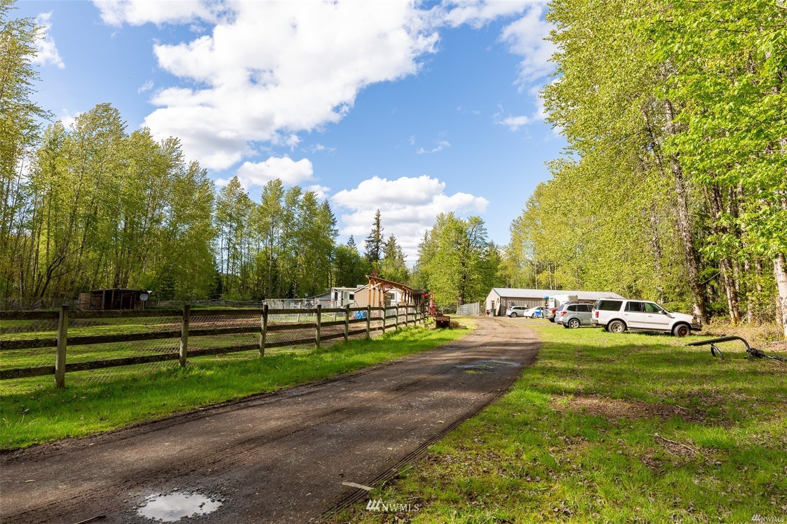 144 Morgan Road Toutle, WA 98649 - Photo 5 of 40 a view of yard with tree s