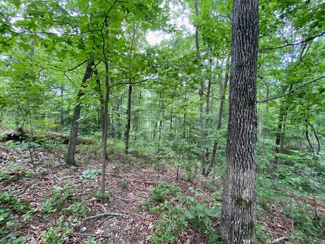 0 Eagle View Cove Big Sandy, TN 38221 - Photo 6 of 11