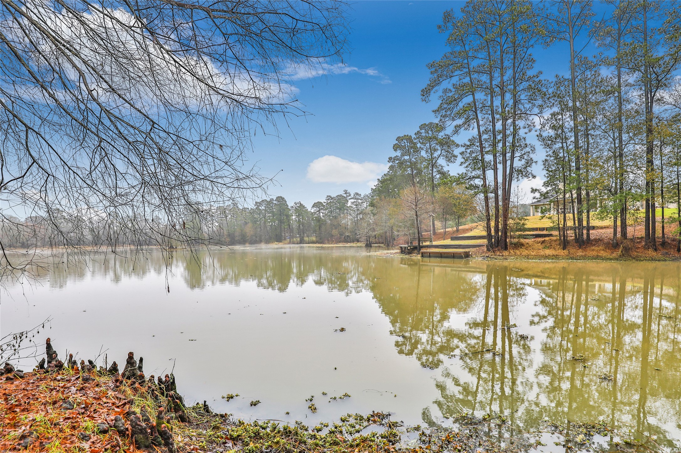 25734 Water Ridge Drive Huffman, TX 77336 - Photo 4 of 28