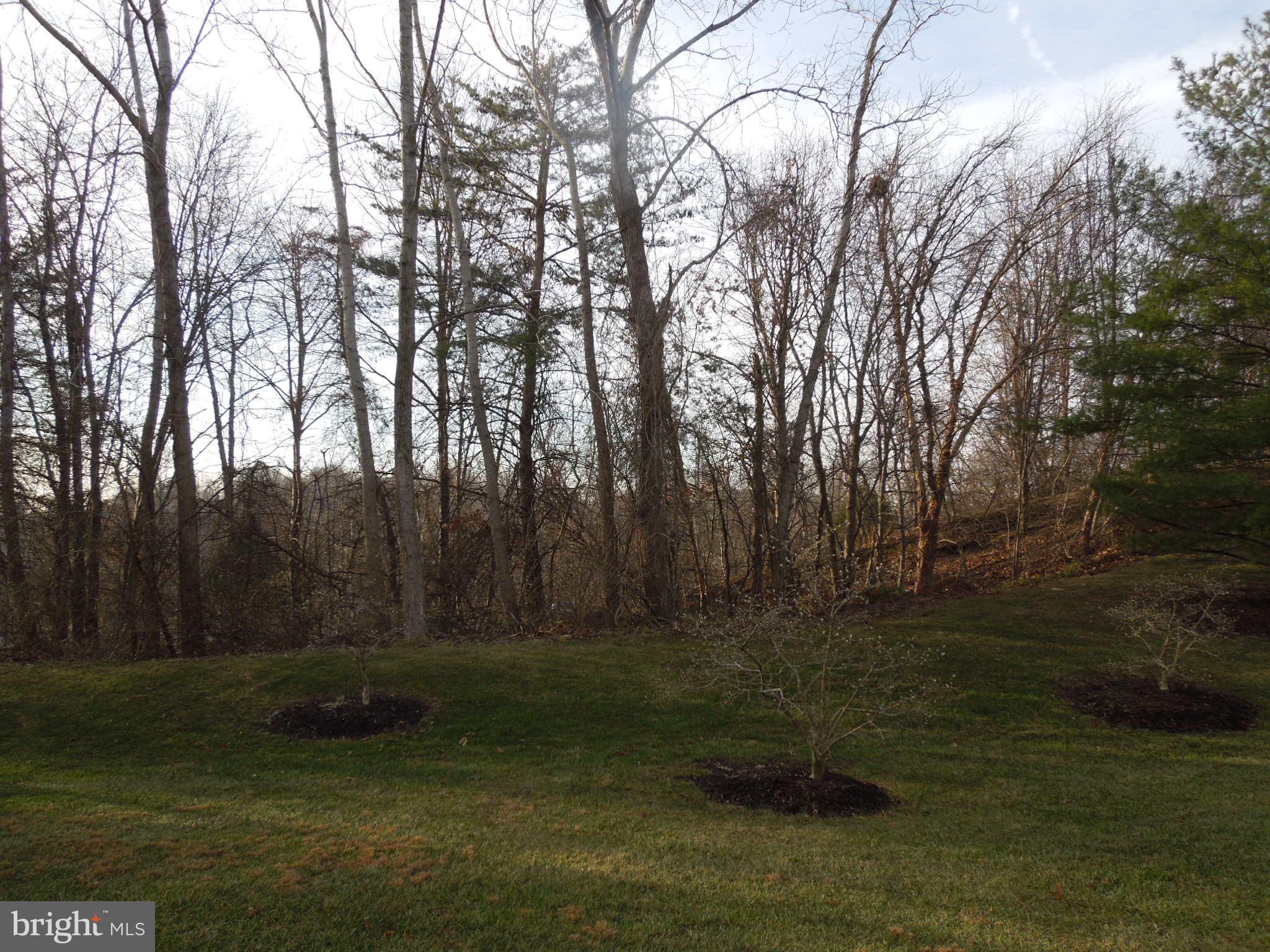 8233 Poplar Mill Road Baltimore, MD 21236 - Photo 20 of 20 view from back