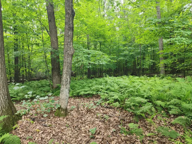 $234,900 | 14870 River Island Road, Pine City, MN 55063